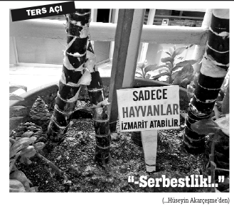 Hayat...